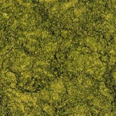 Lick and Lash Pigment Lust